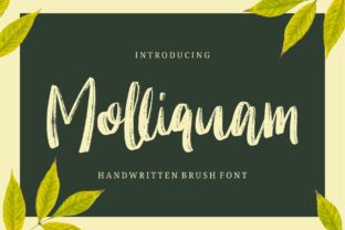 Molliquam: A Handwritten Font with Personality